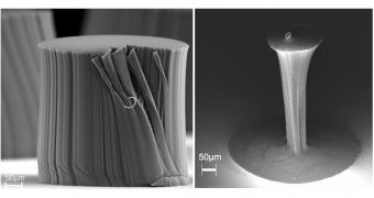 A carbon nanotube bundle before (left) and after (right) densification.