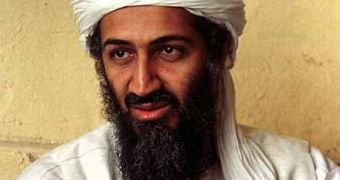 Five Al Qaeda Sites Taken Down by Cyberattacks