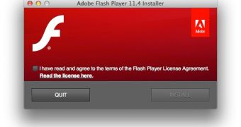 Adobe Flash Player installation wizard (screenshot)