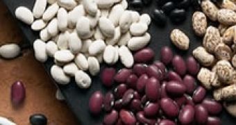 Flatulence-free Beans Developed