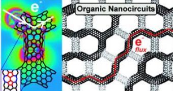 Flawed Carbon Nanotubes Make Perfect Conductors