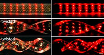 Flexible LED Sheets To Enable Glowing Tatoos