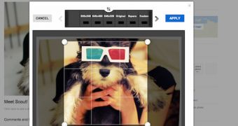 Flickr Will Incorporate the Aviary Photo Editor, Replacing Google's Picnik