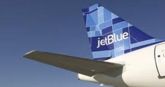 JetBlue plane stops in JFK due to bird crisis