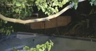 Woman loses pool to sinkhole
