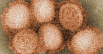 Flu Pandemic Is Easing in Some Regions