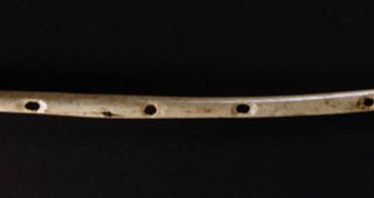 A picture of the 35,000-year-old bone flute found in Germany last year