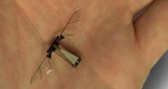Image of a fly robot