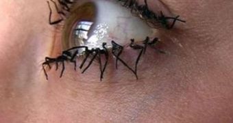 Woman invents the Flylash, eyelashes made of fly legs