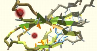 Folding proteins
