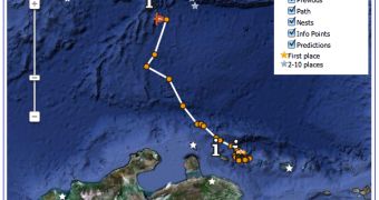 Follow Jklynn the Sea Turtle's Annual Migration in Google Earth