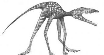 This is a reconstruction of cat-sized stem dinosaur Prorotodactylus isp. found in Stryczowice, Poland that was a quadruped with a dinosaur-like gait and orientation of the toes