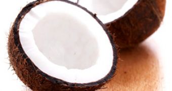Ford Looking to Use Coconut Fibers in Vehicles