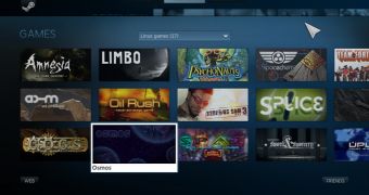 Steam for Linux Bib Picture interface