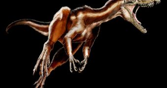 A reconstruction of the newly discovered Triassic, carnivorous dinosaur, Tawa hallae