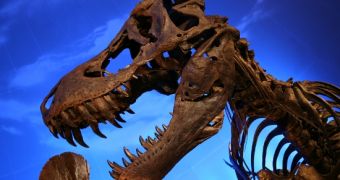 68-million-year-old dinosaurs remains will soon be auctioned off in New York