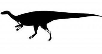 Artistic impression of the probable appearance of a Sustut dinosaur