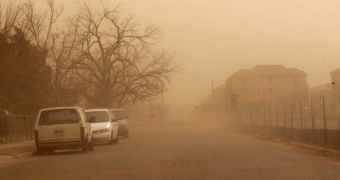 Major dust storm hits Texas