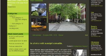 A WordPress template example