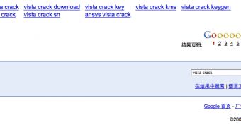 The Vista crack displayed by Google