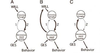 Three different models explain the causal mechanism of free will and the flow of information between unconscious neural activity (genes, environment, and stochasticism) and conscious thought