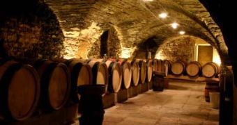 French Wine Has Italian Origins, New Evidence Suggests