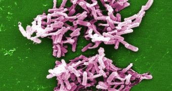 Study finds frozen poop transplants can cure C. difficile infections