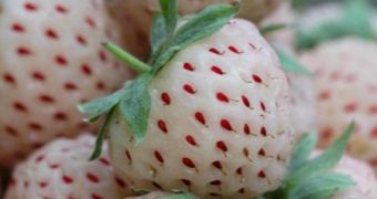 Waitrose offers the pineberry fruit that looks like a strawberry but tastes like pineapple
