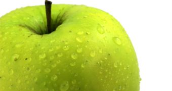 Fruits and Vegetables Prevent Cancer