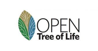 The Open Tree of Life is one of three major new scientific projects funded by the NSF