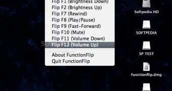 FunctionFlip interface
