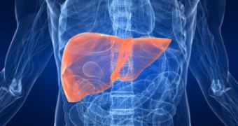Experiments on mice bring new hope to people suffering from liver failure