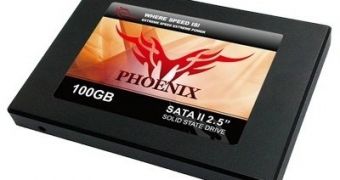 G.Skill's SandForce-based Phoenix SSDs up for pre-order