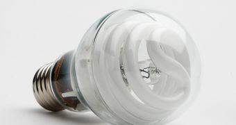 The GE Hybrid Halogen-CFL Light Bulb