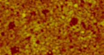 An atomic force microscope image shows the surface of a shape memory polymer that has been treated to make a strong reusable adhesive