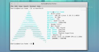 GNOME Terminal on Arch Linux
