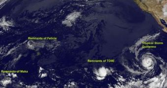 From left to right, the remnants of Maka and Felicia, then TD9E and finally,Tropical Storm Guillermo, which looks pretty impressive west of the Mexican coast