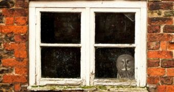 Agoraphobic owl does not want to leave its brick home