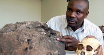 Large rock reveals well-preserved remnants of ancient hominid ancestor
