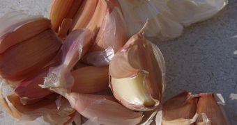 Two compounds in garlic could help make baby formulas safer