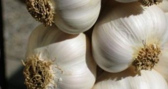 Garlic contains selenium, an antioxidant that can fight free radicals
