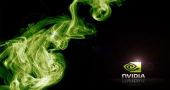 NVIDIA releases the GeForce 310.61 Driver
