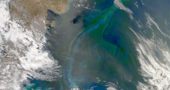Promoting phytoplankton bloom is a proposed geoengineering method