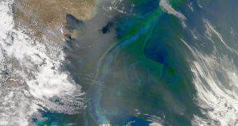 There are numerous ways to go about doing geoengineering,and boosting phytoplankton blooms is one of them