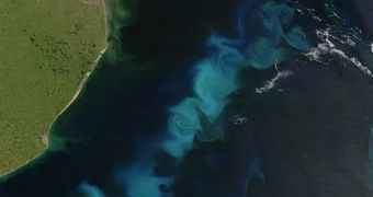 Boosting phytoplankton blooms such as this one could reduce the amount of atmospheric carbon dioxide, partially mitigating the effects of global warming
