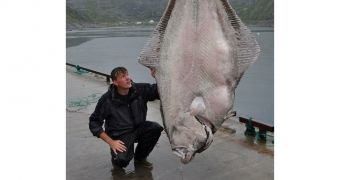 Marco Liebenow gets his hands on the world's largest halibut to date