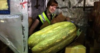 A passenger tried to smuggle the huge vegetable into Britain