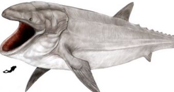 Giant fish roamed the ocean 160 million years ago, researchers claim
