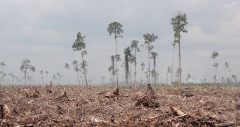 APP has managed to destroy more than two million hectares of tropical forest in Indonesia