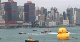 Dutch artist Florentijn Hofman lets rubber duck loose in Hong Kong